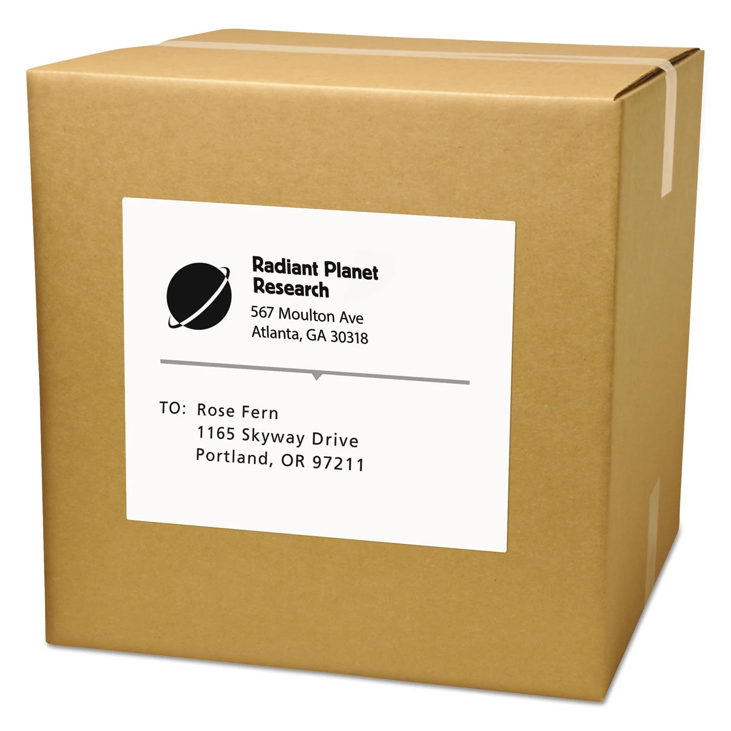 Avery Copier Mailing Labels, Copiers, 8.5 x 11, White, 100/Box - Image 2