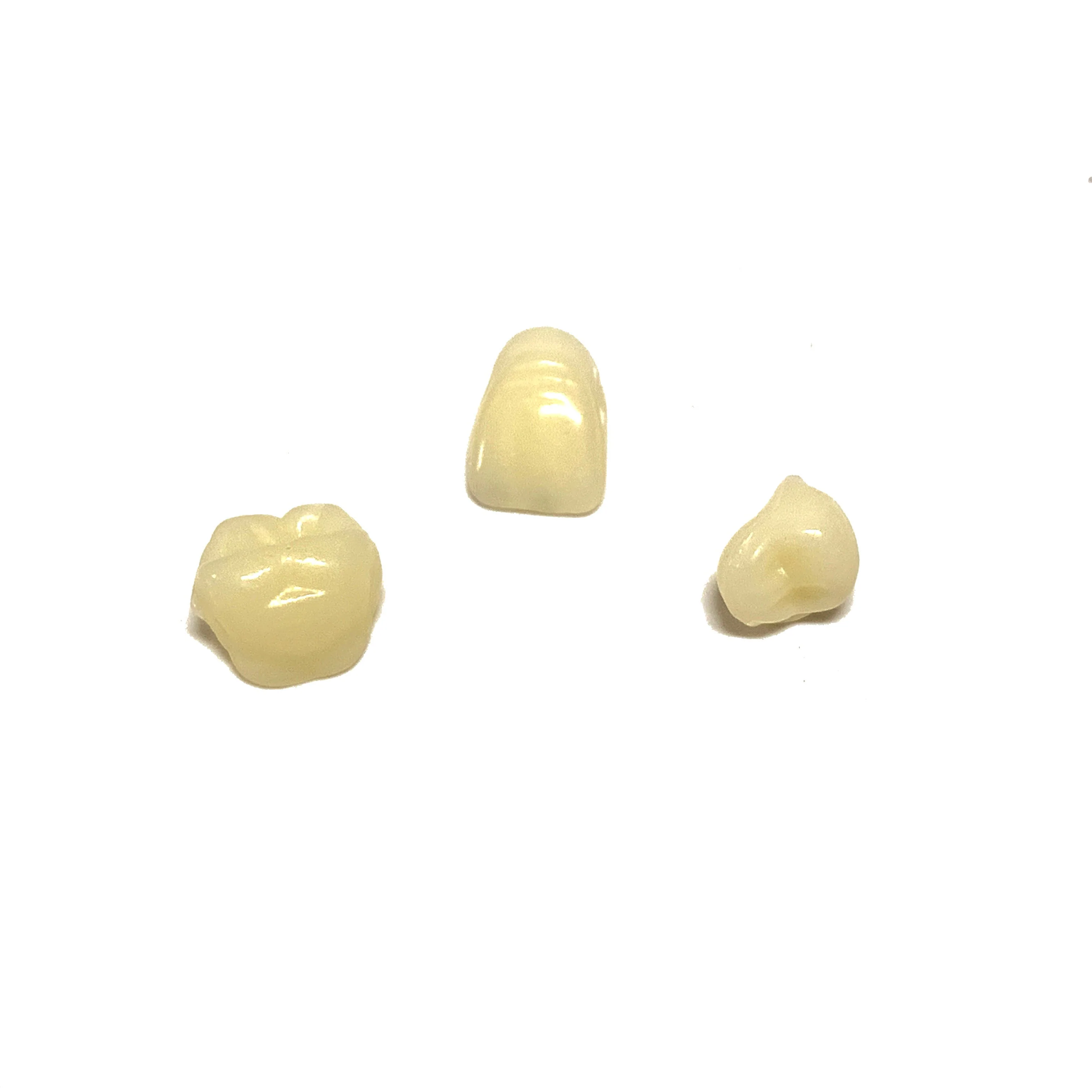 Professional Grade Fake Resin Teeth Set - 28 Pieces - Image 3