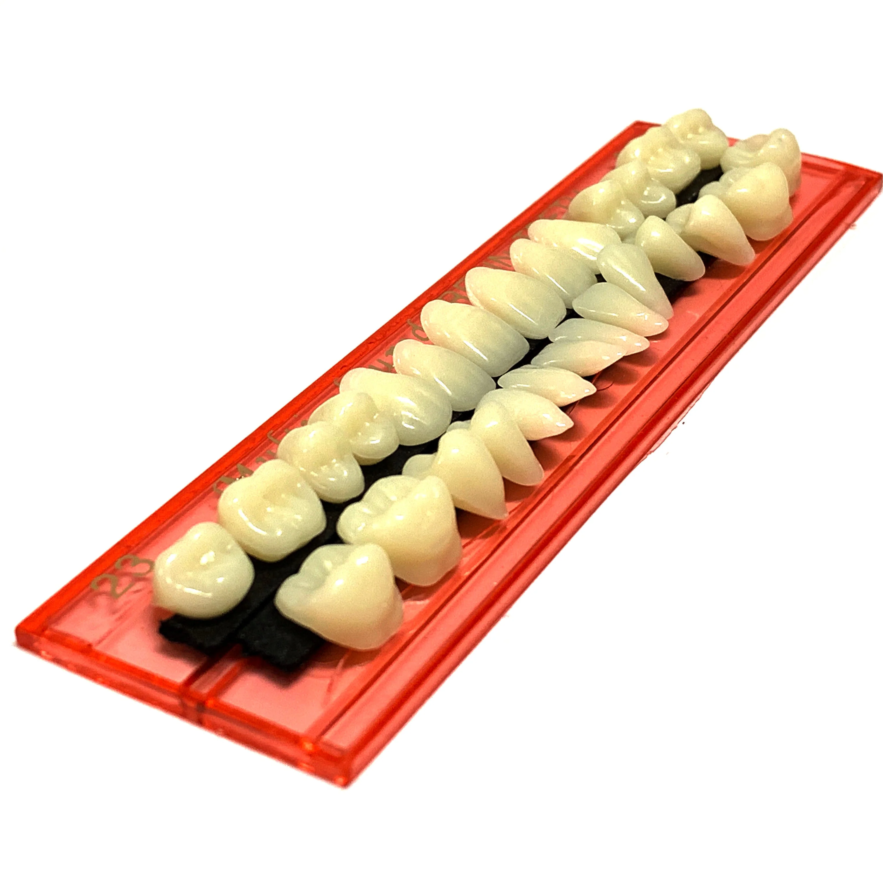 Professional Grade Fake Resin Teeth Set - 28 Pieces - Image 4