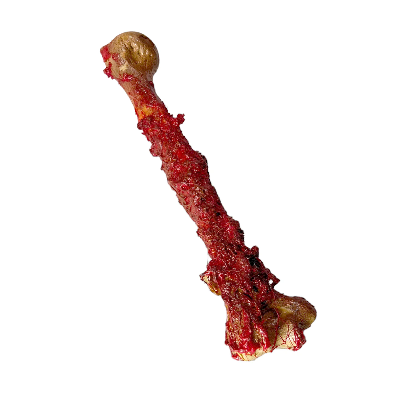 Realistic Lightweight Rigid Foam Humerus Prop - Image 6