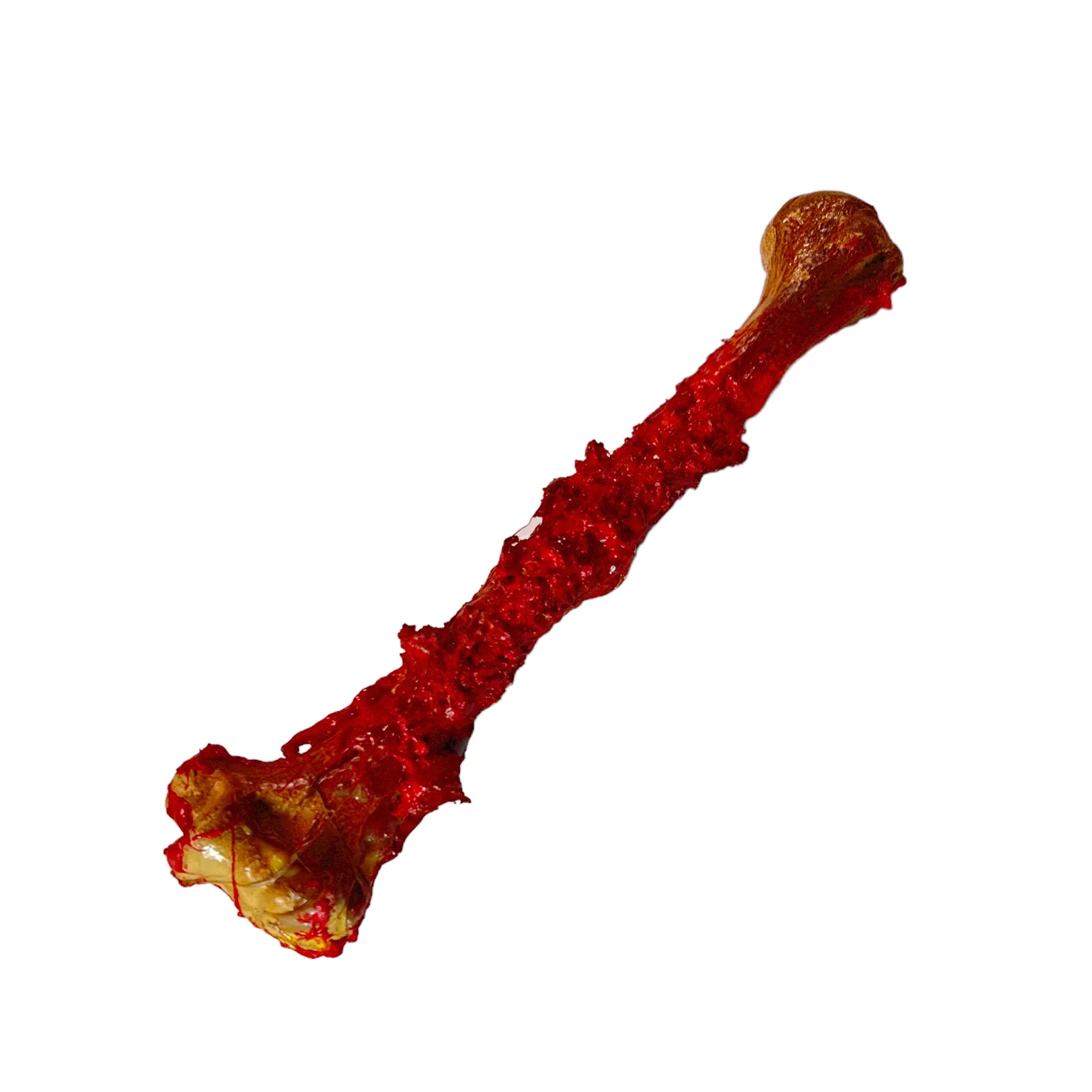Realistic Lightweight Rigid Foam Humerus Prop - Image 7