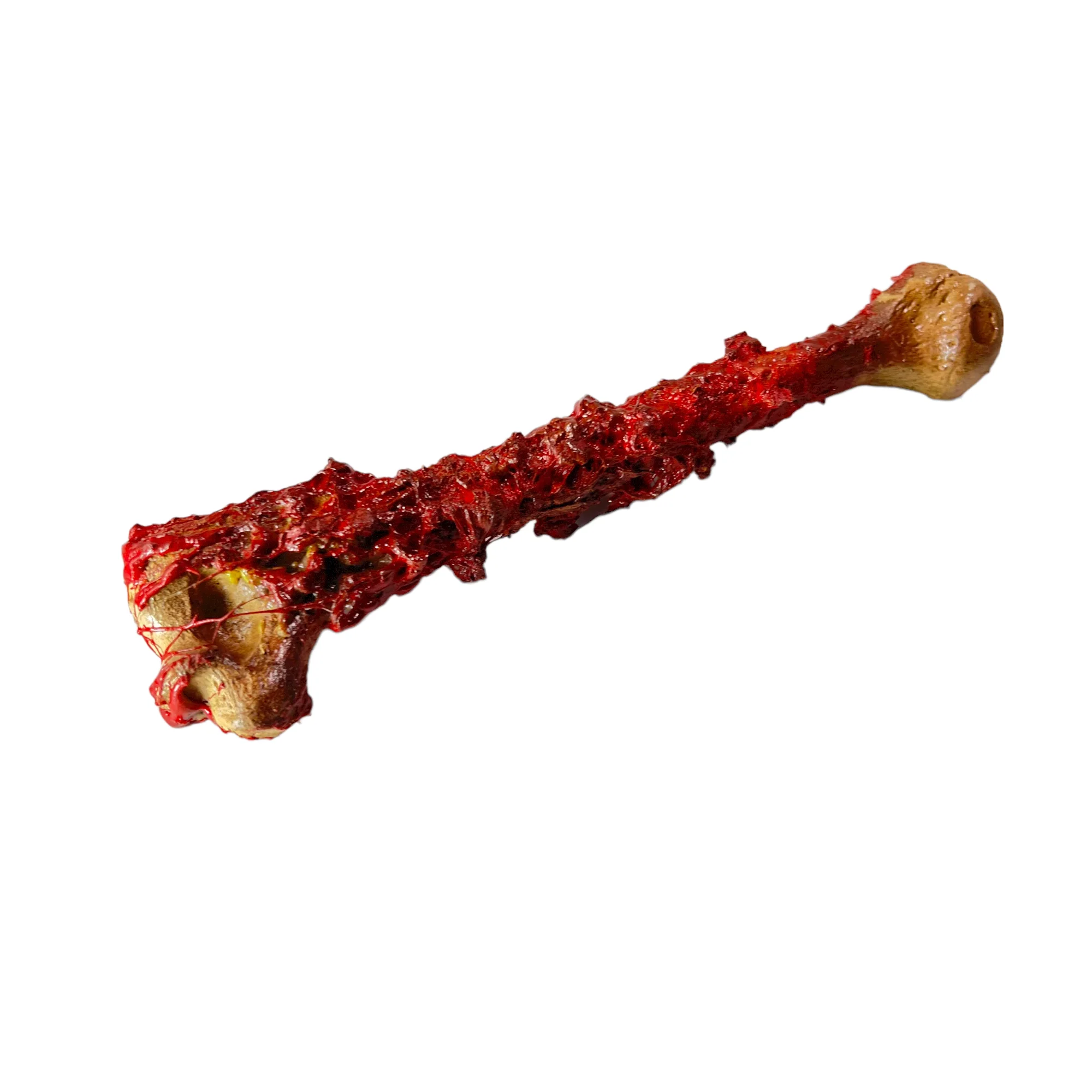 Realistic Lightweight Rigid Foam Humerus Prop - Image 9